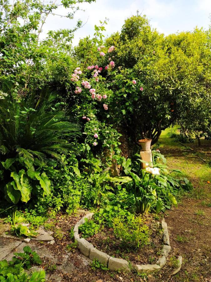 Bed and Breakfast Aricelle Speziali Specchia Gallone Zewnętrze zdjęcie