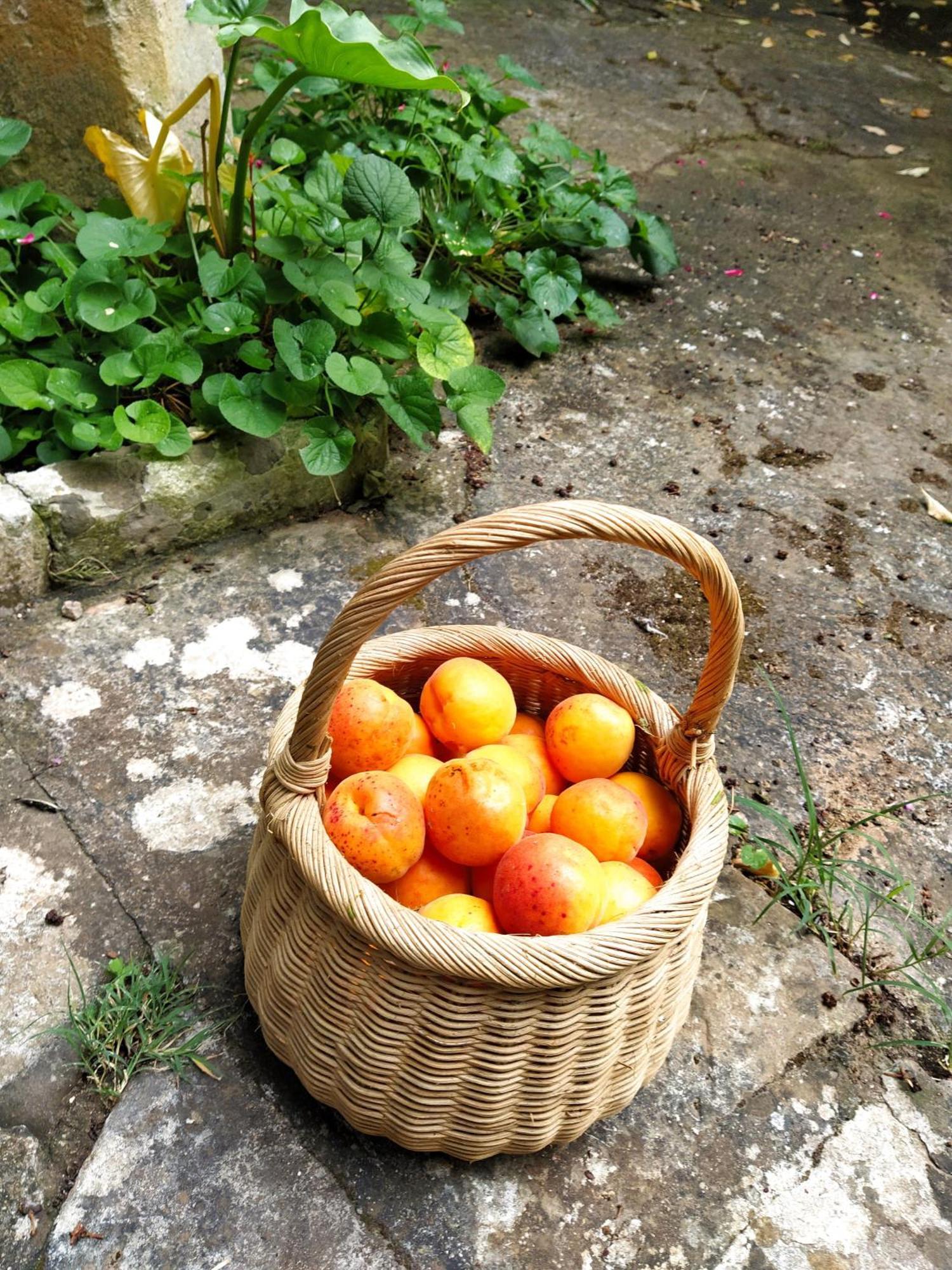 Bed and Breakfast Aricelle Speziali Specchia Gallone Zewnętrze zdjęcie